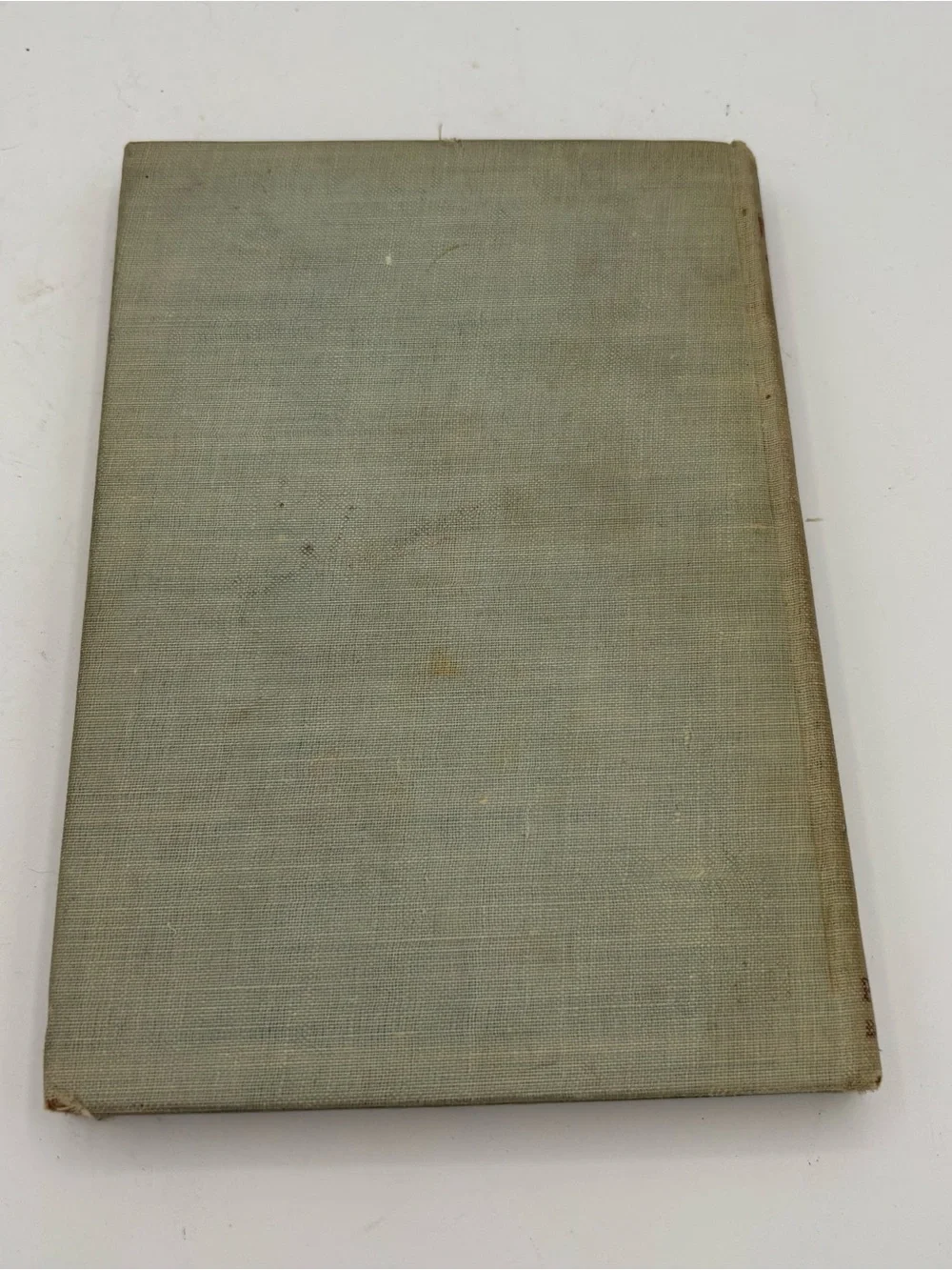 L.C. Page 1906 dog